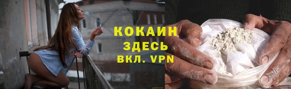 винт Верея