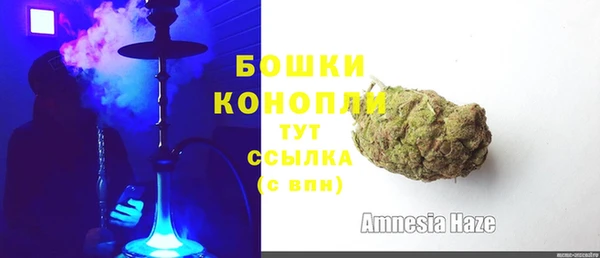 винт Верея